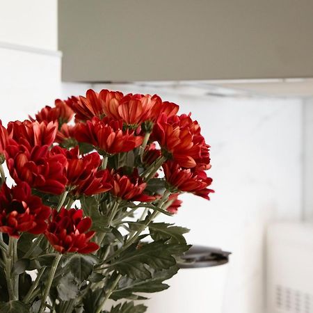 Apartman Anastasie Praag Buitenkant foto